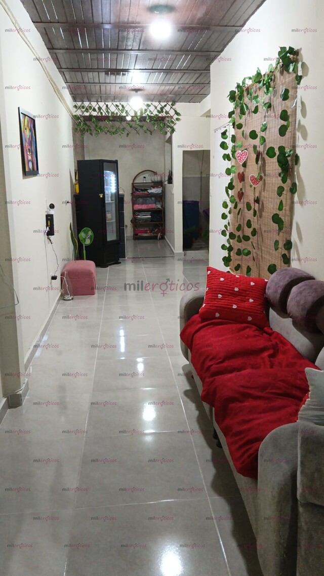 FOTOS DE CONFOR PERRESIMAS ACTIVA CONTACTANOS AL WHATSAPP ELEGANTE ESCORTS