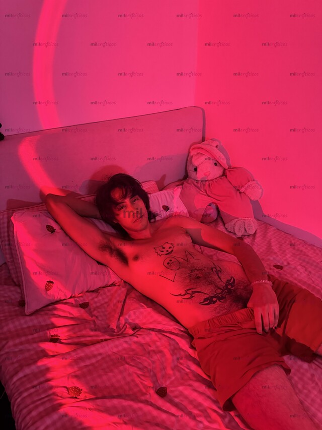 FOTOS DE VATO TRANS DISCRETO TU NUEVA FANTASÍA CON LUGAR EN TU CIUDAD