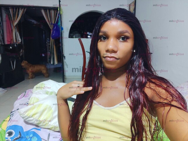 FOTOS DE HOLA SOY NICOL UNA CHICA TRANS SOLO PASIVA POR FAVOR LEER ANTES DE INGRESAR .