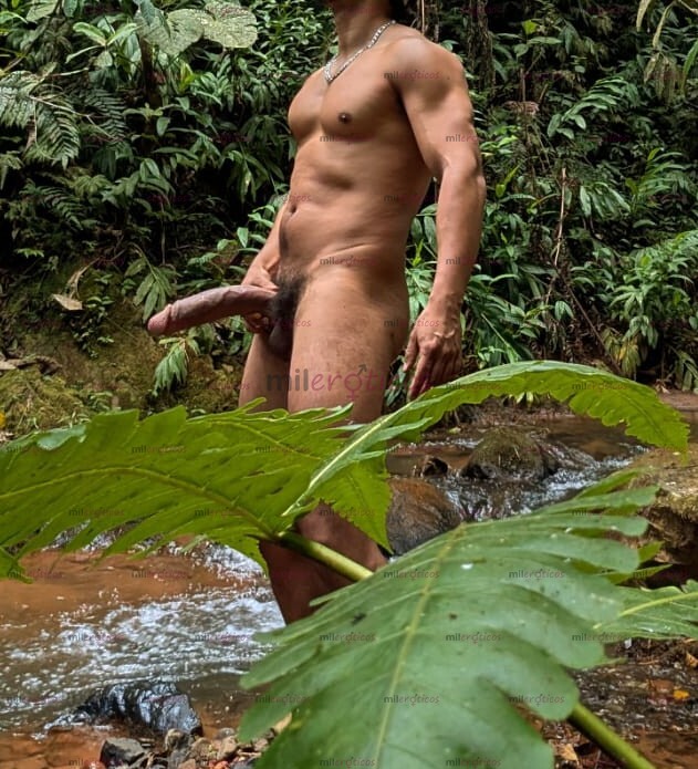 FOTOS DE SEMENTAL MORENO LLEGA PARA DARTE UNA EXPERIENCIA ÚNICA