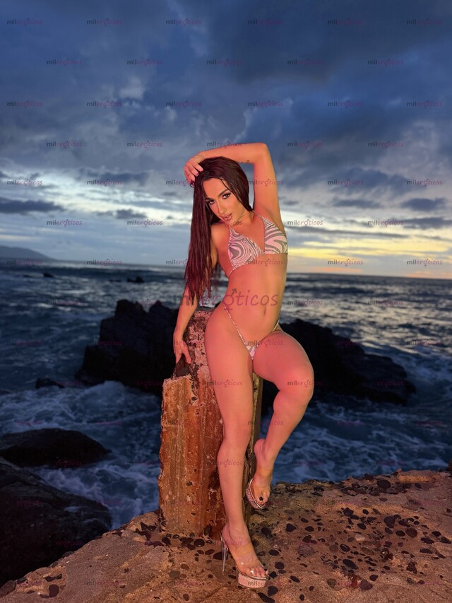 FOTOS DE RECIÉN LLEGADA TU FANTASÍA MÁS TENTADORA CHICA TRANS VIP FUERA DE LO COMÚN