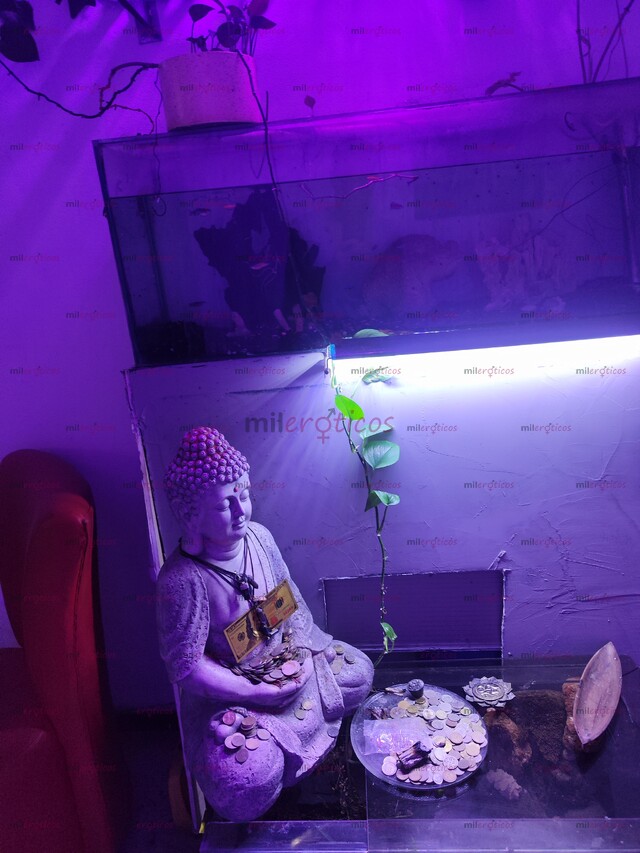 FOTOS DE PRÍVATE HOUSE LA MEJOR CASA DE CITAS DE MEDELLÍN UBICADA EN EL CORAZÓN DEL POBLA