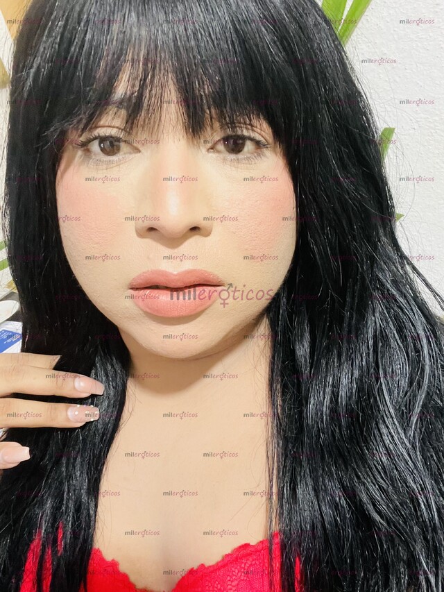 FOTOS DE SI AQUÍ ESTOY PAPI PARA COMPLACERLO EN TODO LOQUE USTED GUSTE TRANS