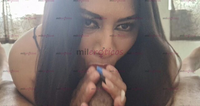 FOTOS DE LINDA SEXY TRANS PASIVA ,MÁS ACTIVA 21 CTM