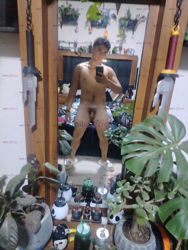 FOTOS DE SOY SIGFRID Y SOY INTER PASIVO TE VOY A OBEDECER