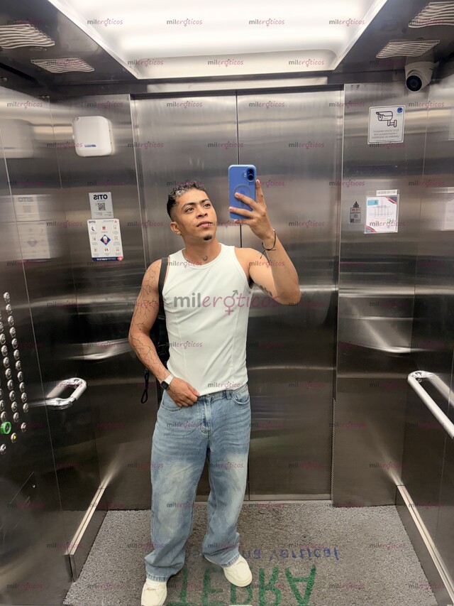 FOTOS DE MORENO SANTANDEREANO VERGON LECHERO EN TU CIUDAD