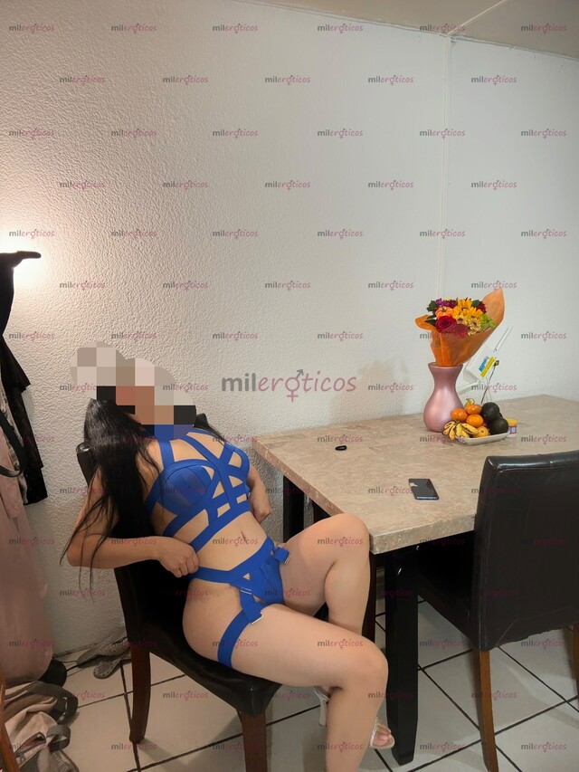 FOTOS DE PALOMA HERMOSA PILE NEGRA SOY LO QUE ANDAS BUSCANDO