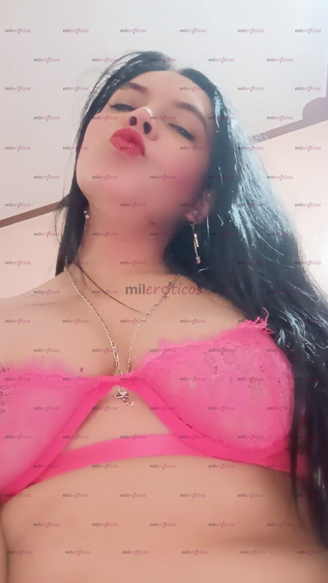 FOTOS DE GATITA SALVAJE HERMOSA CON CARITA D ÁNGEL