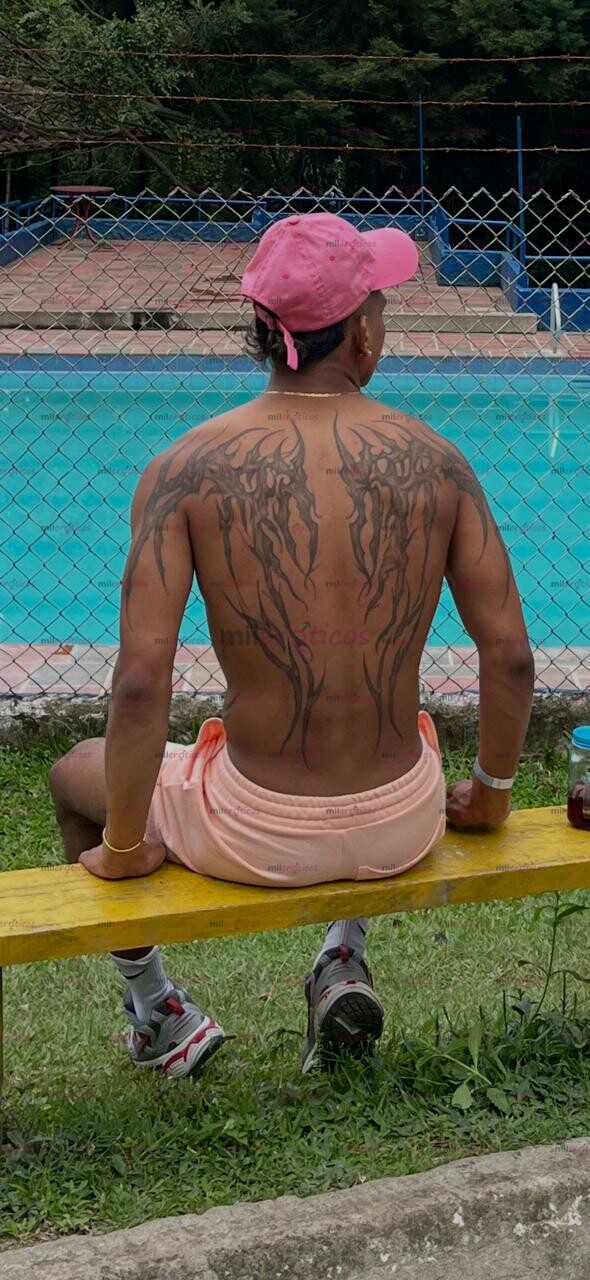 FOTOS DE DEVUELTA MATÍAS. TU CHICO VERSÁTIL COMPLACIENTE Y CARIÑOSO
