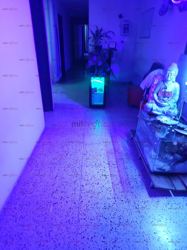 FOTOS DE PRÍVATE HOUSE LA MEJOR CASA DE MEDELLÍN UBICADA EN EL POBLADO