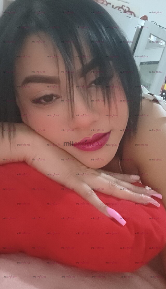 FOTOS DE TU GUSTA UN TOTO APRETADITO , DISFRUTA DE LA MEJOR EXPER