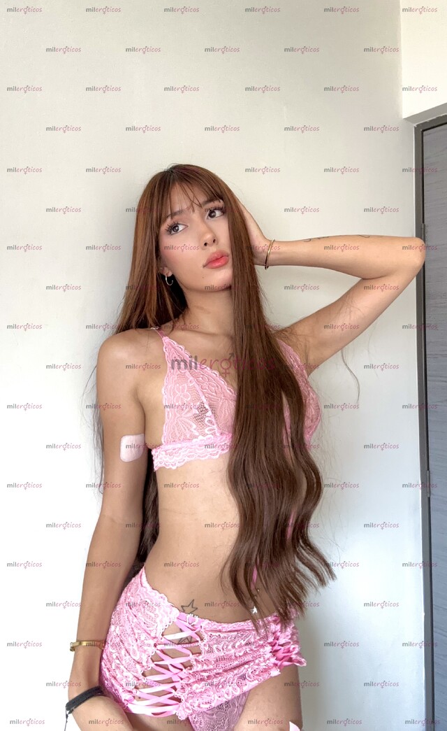 FOTOS DE MIRANDA SEXY TRANSGIRL 19 AÑOS,EXPERTA EN PRIMERIZOS TU MEJOR EXPERIENCIA