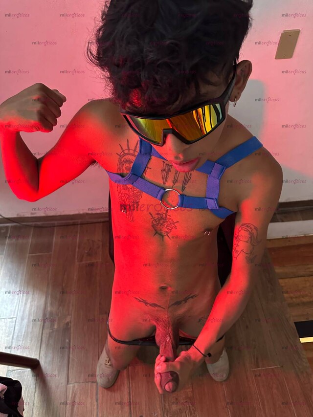 FOTOS DE CHACAL TWINK VERGON 20 CM DE VISITA UNOS DIAS