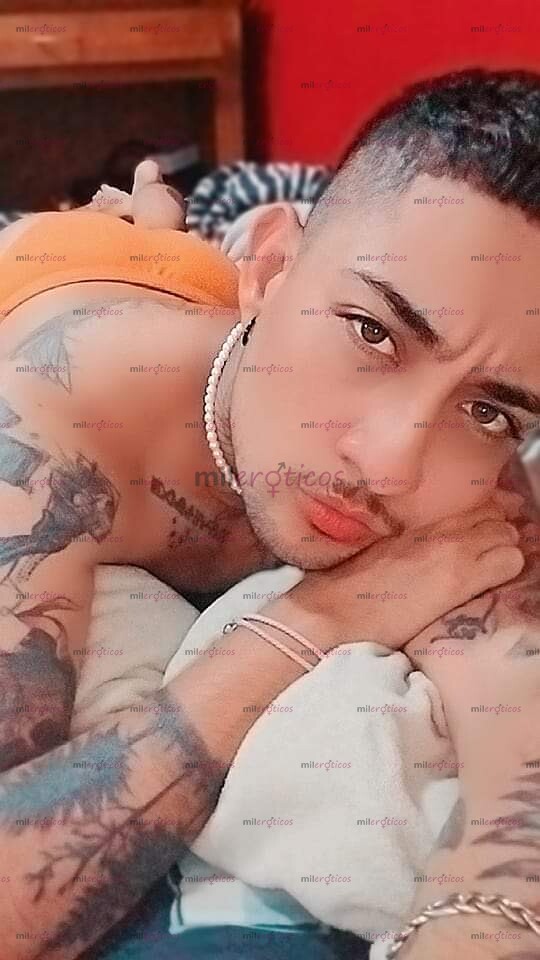 FOTOS DE SI QUIERES UN NOVIO TRASN CON COÑO DE ALQUILER, VIP Y GUAPÍSIMO ESCRIBEME
