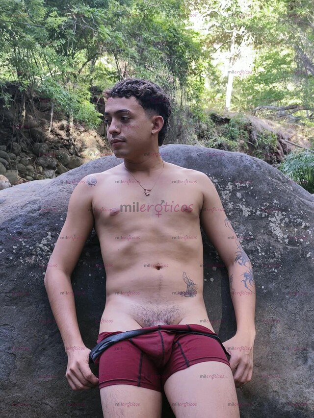 FOTOS DE POLLITO SERIO VARONIL LECHERO VERSÁTIL FULL COMPLACIENTE DE PASO EN TU CIUDAD