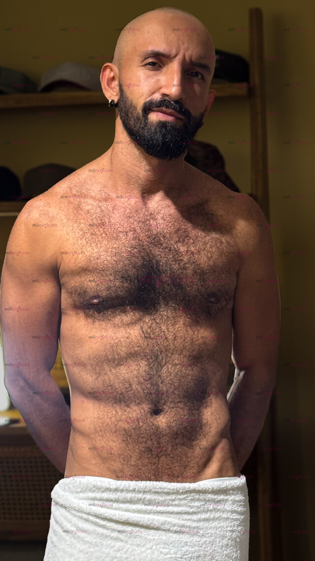 FOTOS DE 23CM VERSÁTIL PELUDO SERIO Y BUEN AMANTE PEREIRA , SANTA ROSA Y DOSQUEBRADAS