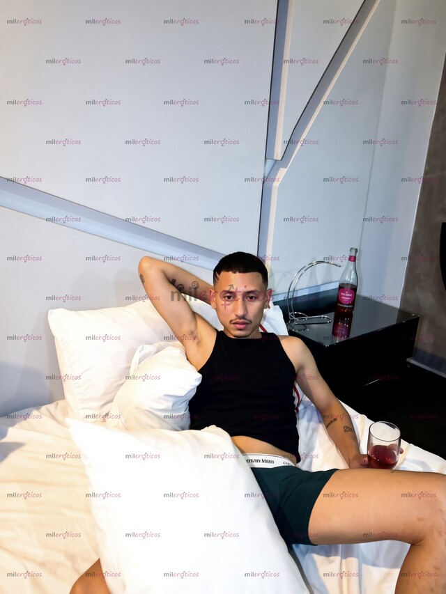 FOTOS DE POLLO DOTADO LECHERO DISCRETO ACTIVO DISPONIBLE 3239733416