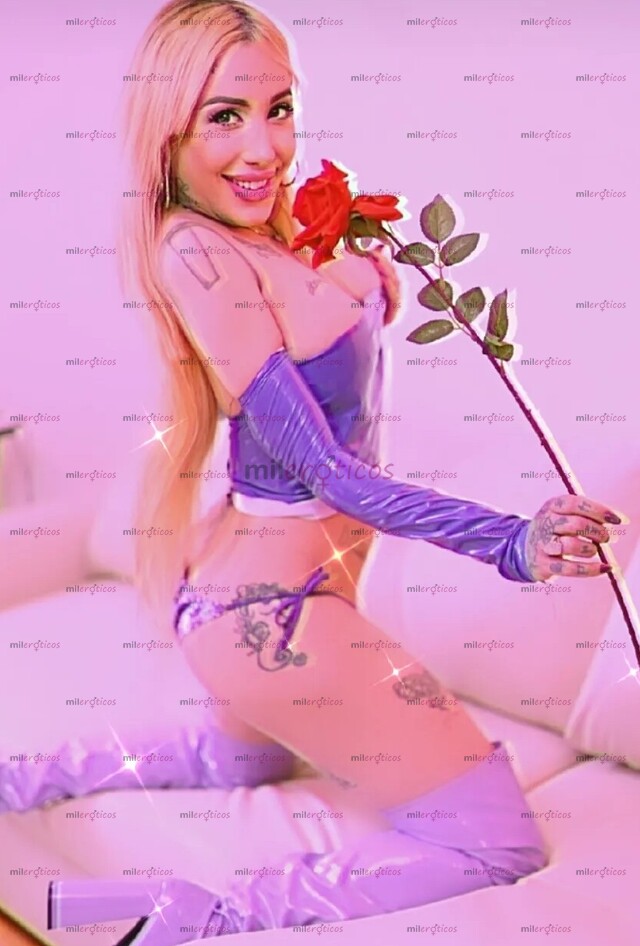 FOTOS DE RUBIA HOLANDESA COMPLACIENTE PERRITA XXX TODO LO QUE QUIERAS