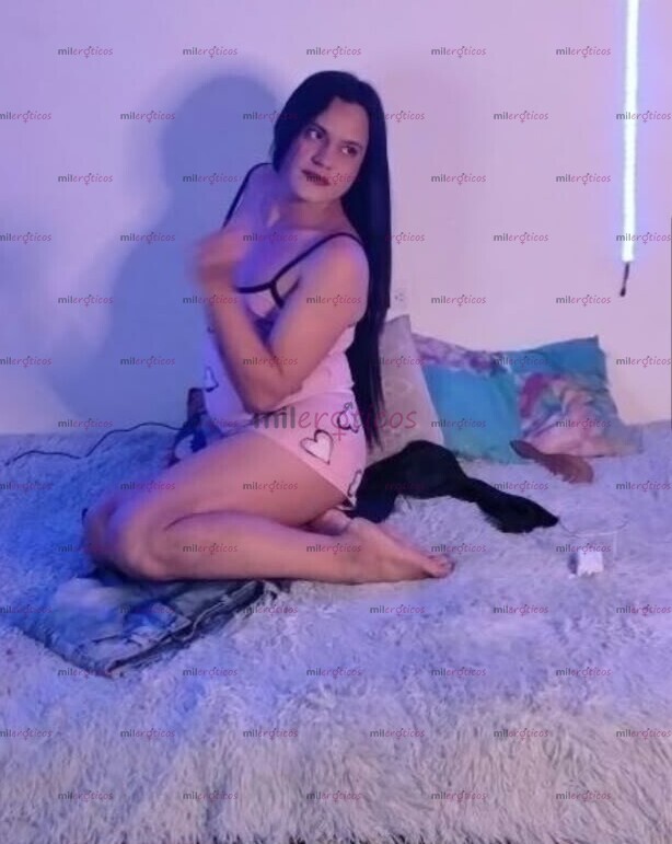 FOTOS DE OFREZCO MIS SERVICIOS SEXUALES CHICA TRANSEXUAL CALIENTE