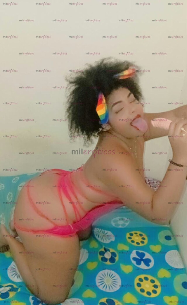 FOTOS DE SOY TU PERRITA EN LA CAMA SADICA ME LA TRAGO TODITA