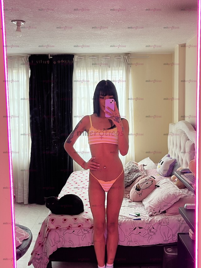 FOTOS DE CHICA TRANS PASIVA FEMENINA TRIGUEÑA CON GANAS DE CONOCER EN BOGOTÁ