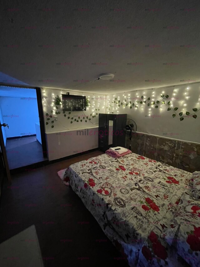 FOTOS DE CHICAS HABITACIONES DISPONIBLE EN IBAGUE TOLIMA