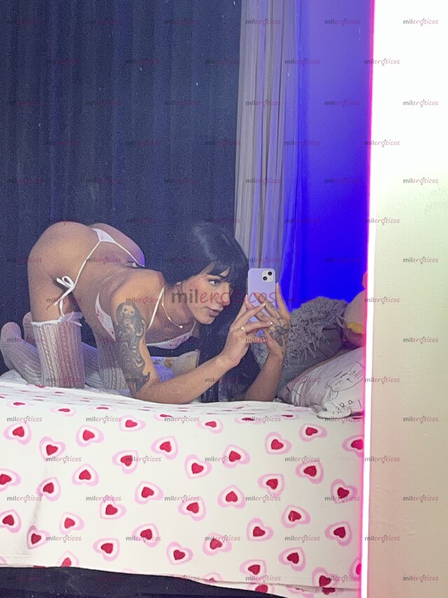 FOTOS DE CHICA TRANS LINDA PASIVA DELGADA CON GANAS DE DIVERTIRSE