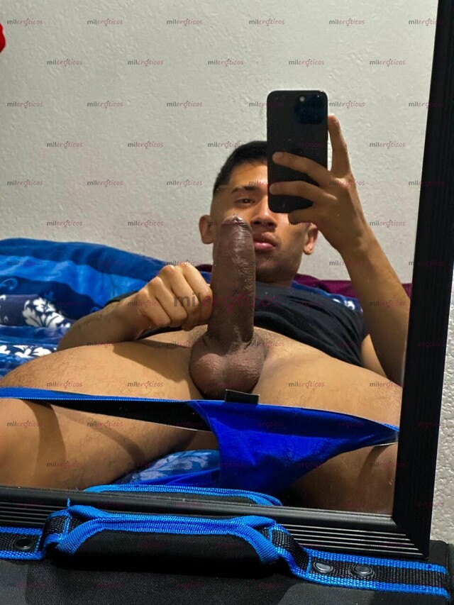 FOTOS DE CHACAL UNIVERSITARIO VERGON XL COMPLACIENTE EN CDMX
