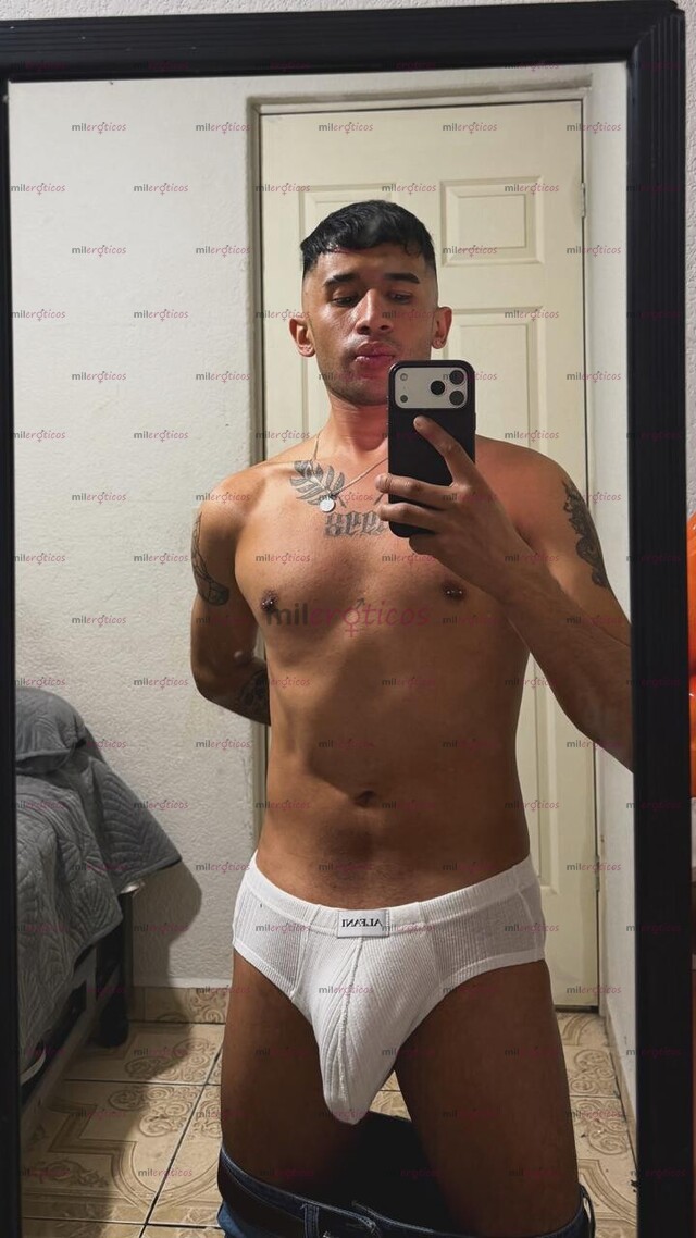 FOTOS DE CHACAL UNIVERSITARIO VERGON XL COMPLACIENTE EN CDMX