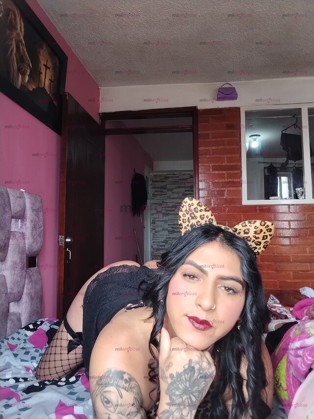 FOTOS DE HOLA HA LLEGADO TU GATICA DISPUESTA A COMPLACERTE