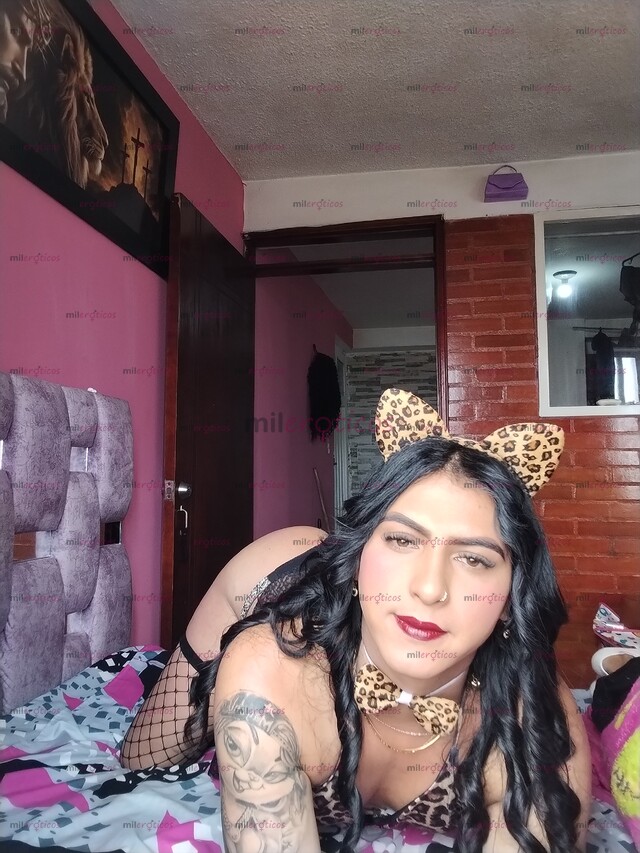 FOTOS DE HOLA HA LLEGADO TU GATICA DISPUESTA A COMPLACERTE
