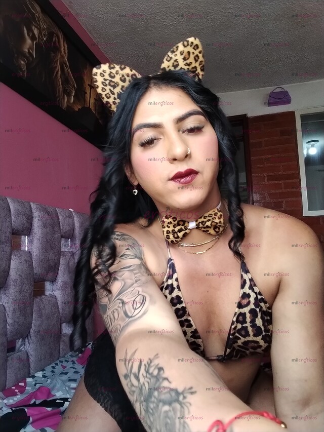 FOTOS DE HOLA HA LLEGADO TU PERRITA LECHERA A TU CIUDAD DISPUESTA A COMPLACERTE