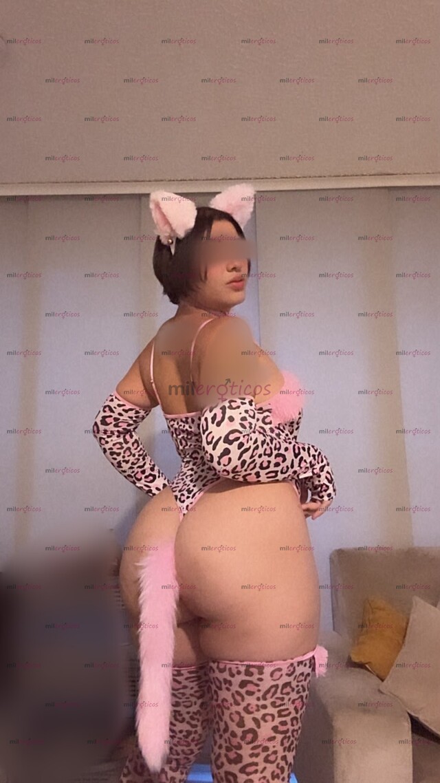 FOTOS DE EROTISMO SALVAJE SEDUCCIÓN Y MUCHA LUJURIA EN LENCERÍA (SIN SEXO)