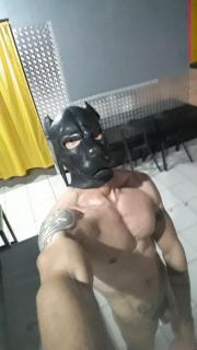 ACTV CULION MACHO ARRECHO BUENA VERGA LECHERO COME CULO 3213403279 - Foto 1