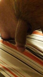 TE SACO LO PUTA QUE LLEVAS DENTRO 100% MORBOSO DOMINANTE - FOTO 2