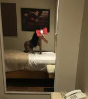HERMOSA MULTIORGASMICA ALTO NIVEL EJECUTIVO LLÁMAME 8713 37 77 74 - FOTO 2