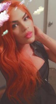 SI DISPONIBLE SI DISPONIBLE SI DISPONIBLE SI DISPONIBLE - FOTO 5