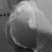 AMOR AQUI ESTOY PARA HACERTE SENTIR LA PASIÓN QUE TE HACE FALTA TATIANA PARA TI - FOTO 8