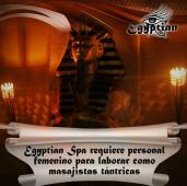 SPA CON DOS SEDES EN PEREIRA ZONA CENTRO REQUIERE MUJERES 18 AÑOS - FOTO 6