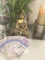 OJO! QUIERES GENERAR INGRESOS DIARIOS GARANTIZADOS? APTO PRIVADO PAGOS DE PUBLIC - FOTO 3