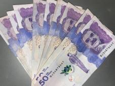 OJO! BUSCA SITIO QUE TE GARANTICE GANANCIAS DIARIAS? AQUÍ ES APTO PRIVADO - FOTO 1