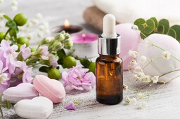 KAMAUSTRA SPA, LAS MAS DEDICADAS ESCORT DE LA ZONA TE ESTAN ESPERANDO - FOTO 3