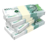 ARRIENDO HABITACIÓN PARA CHICA INDEPENDIENTE EN BOSA NOVA - FOTO 4