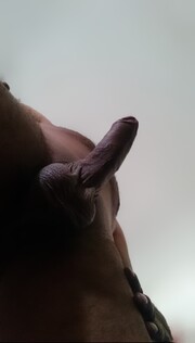 HOMBRE MUY COMPLACIENTE TE HARÉ DISFRUTAR DE UN BUEN SEXO SIN CHANTAJES - FOTO 7