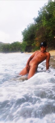 TRIGUEÑO DE PASO POR LA CIUDAD DE MEDALLO A COMPLACER - FOTO 6