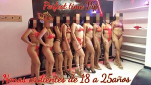PERFECT VIP LAS MUJERES MAS HERMOSAS DE BARRANQUILLA - FOTO 7
