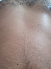 ENCUENTROS E INTERCAMBIOS CON GENTE JOVEN Y RESERVADA - FOTO 10