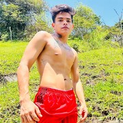 UNIVERSITARIO POLLO VERGON VERSATIL LECHERO - FOTO 10