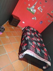 BUSCO CHICAS PARA TRABAJAR EN SUBA EXELENTE UBICACIÓN Y CON PARQUEADERO - FOTO 8