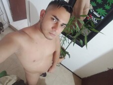 VENEZOLANO 19 CM. COMPLACIENTE Y DISPONIBLE - FOTO 10